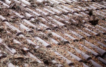 Morwellham Quay roof cleaning companies